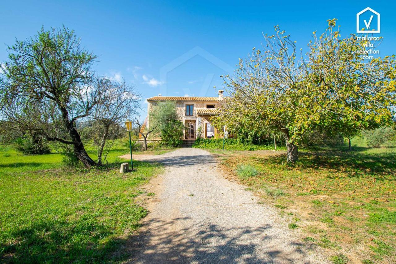 Finca Son Tresco Búger